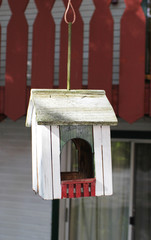 Old Bird House