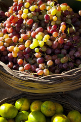 basket of grapes