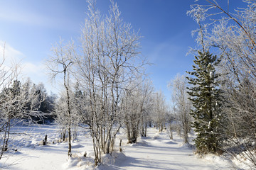 picturesque nature in the north of Russia in the winter