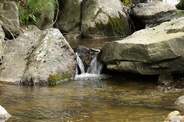Rivière de la clarianelle,Pyrénées audoises
