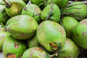 Bunch of fresh green Coconuts