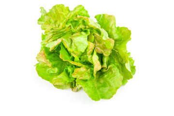 Lettuce beam