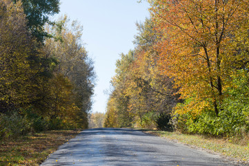 Landscape - asphalt road in the autumn forest