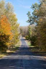 Obraz premium Landscape - asphalt highway with yellow and green trees on the s