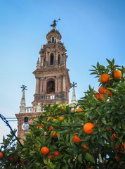 Carmona, Andalusia, Spain