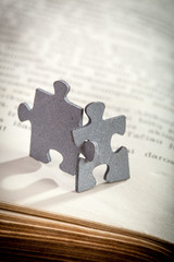 Closeup of Two Jigsaw Puzzle Pieces on Page of a Book