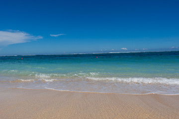 Beautiful tropical beach with lush vegetation