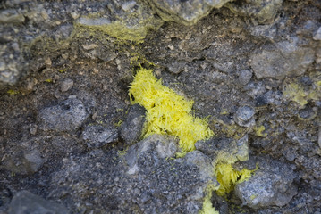 Sulphur crystals on the aeolian island of Vulcano.