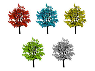 Five leafy colored trees isolated on white