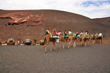 ruta turistica en camellos