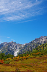 栂池自然園　白馬大雪渓