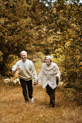 Fototapeta premium Elderly couple at park
