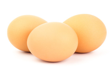 Egg