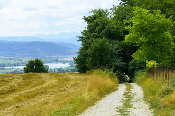 Fototapeta na wymiar Country landscape in Lazio (Italy)