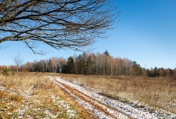 Road in the autumn forest