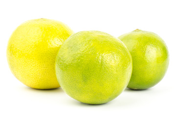 Lime