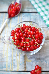 red currant