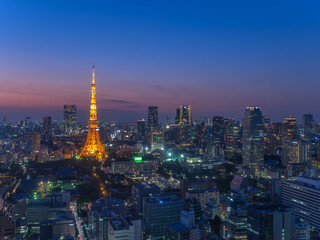 Fototapeta premium 東京タワー