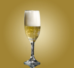 Fresh Chilled Beer