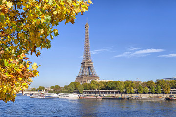 Fototapeta na wymiar Eiffel Tower with a yellow tree on the front, Paris