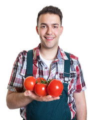 Lachender junger Gärtner mit Tomaten