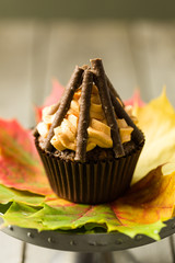 Bonfire cupcakes