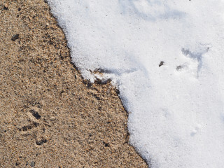 snow and sand