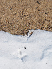snow and sand