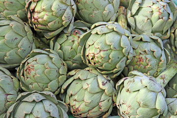 Fototapeta premium mature artichoke green tips