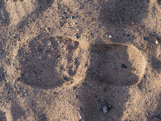 sand