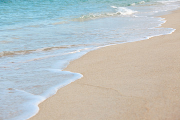 Fototapeta na wymiar mousse de mer sur plage de sable doré