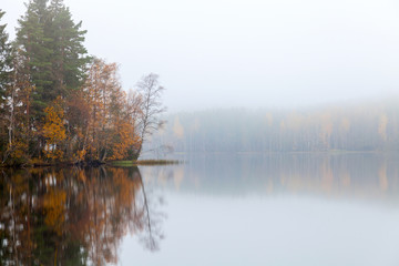 Autumnal landscape with coastal threes and fog