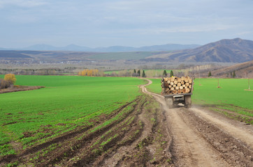 Грузовик-лесовоз на дороге