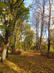 park in autumn