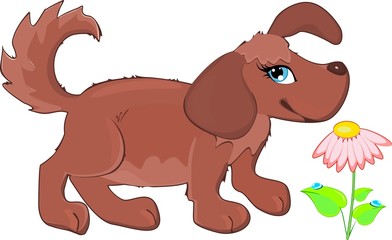 Fototapeta premium Cute dog and flower