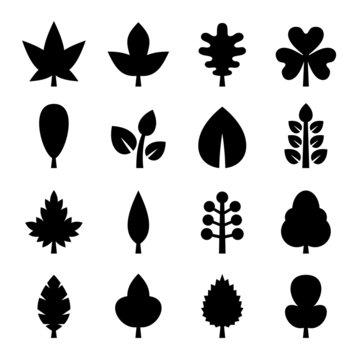 Leaf icons set. Vector