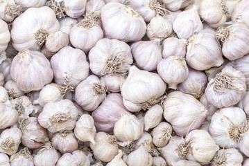 Garlic in market - Allium sativum Linn. .