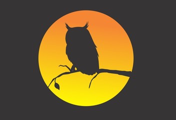 Great night moon Owl vector logo
