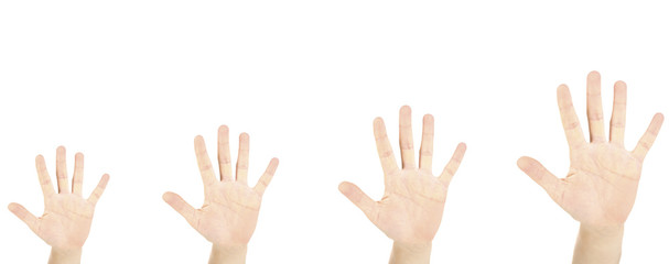 Hands isolated on white