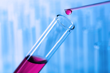 Test tubes on blue background © Africa Studio