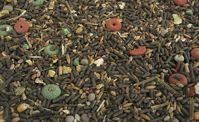 Dry food for rabbits and other rodents