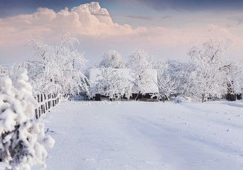 Winter morning in the Carpathian village.