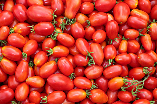 Background of the plurality of oval red tomatoes