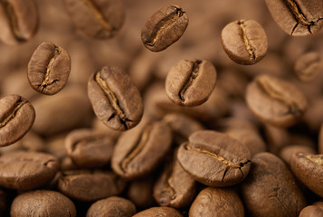 Closeup of coffee beans with focus on one