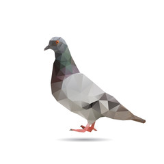 Illustration of abstract origami pigeon