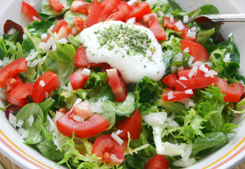 frischer Salat