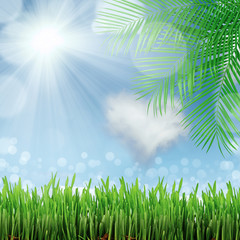 Obraz premium natural green background with selective focus