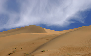 Imperial Sand Dunes