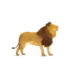 Abstract lion isolated on a white backgrounds