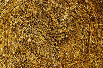 straw bale in the (background)